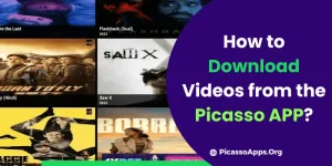 How to Download Videos from the Picasso App?